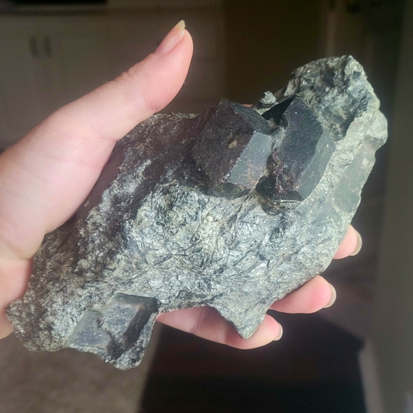 Metamorphic schist, metamorphosis mica, Garnet mica in schist,Opaque garnets - Picture 6 of 6